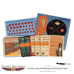 Japanese Ace Pilot: Yukiyoshi Wakamatsu