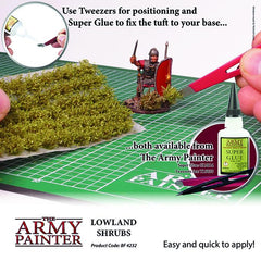 Lowland Shrubs