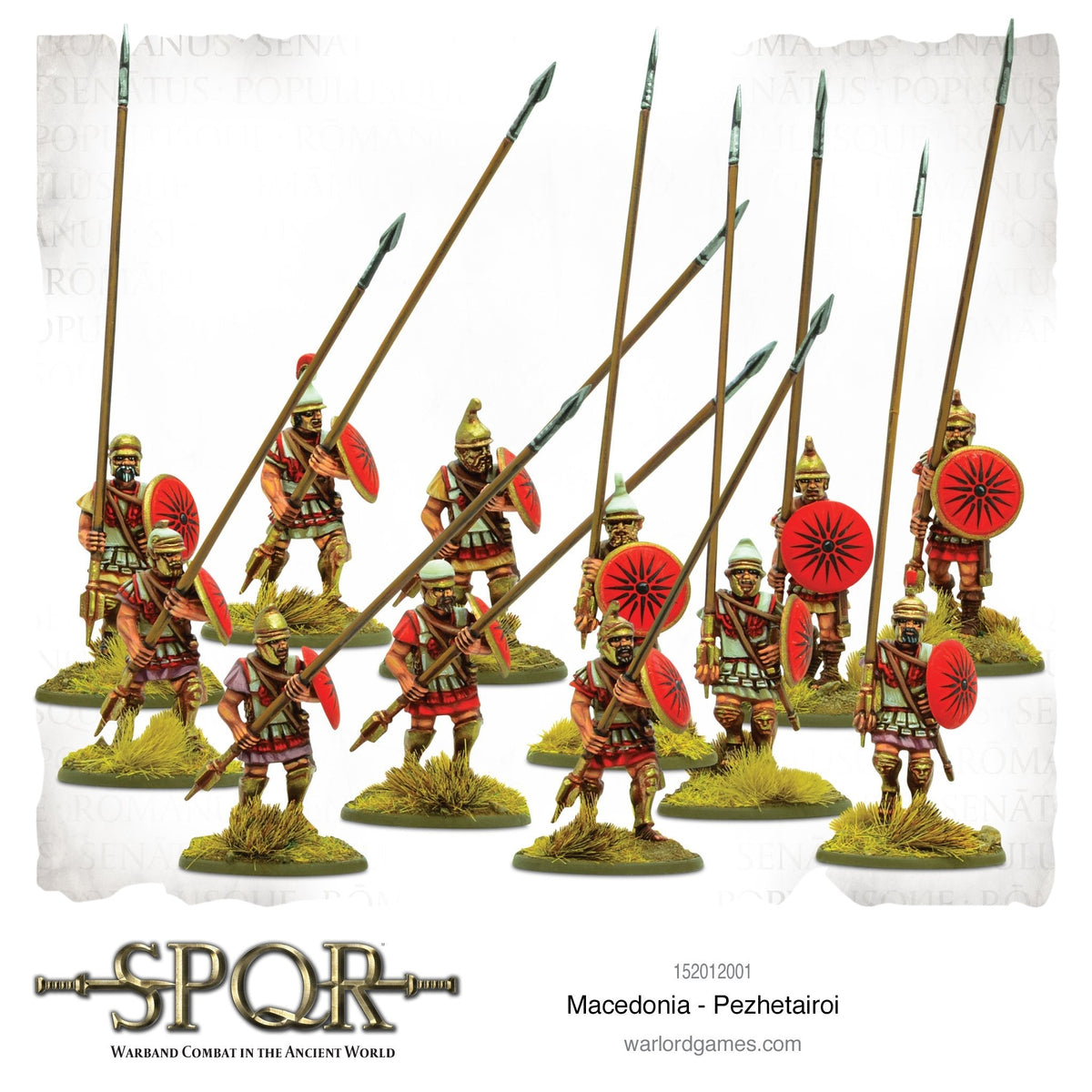 SPQR: Macedonia - Pezhetairoi