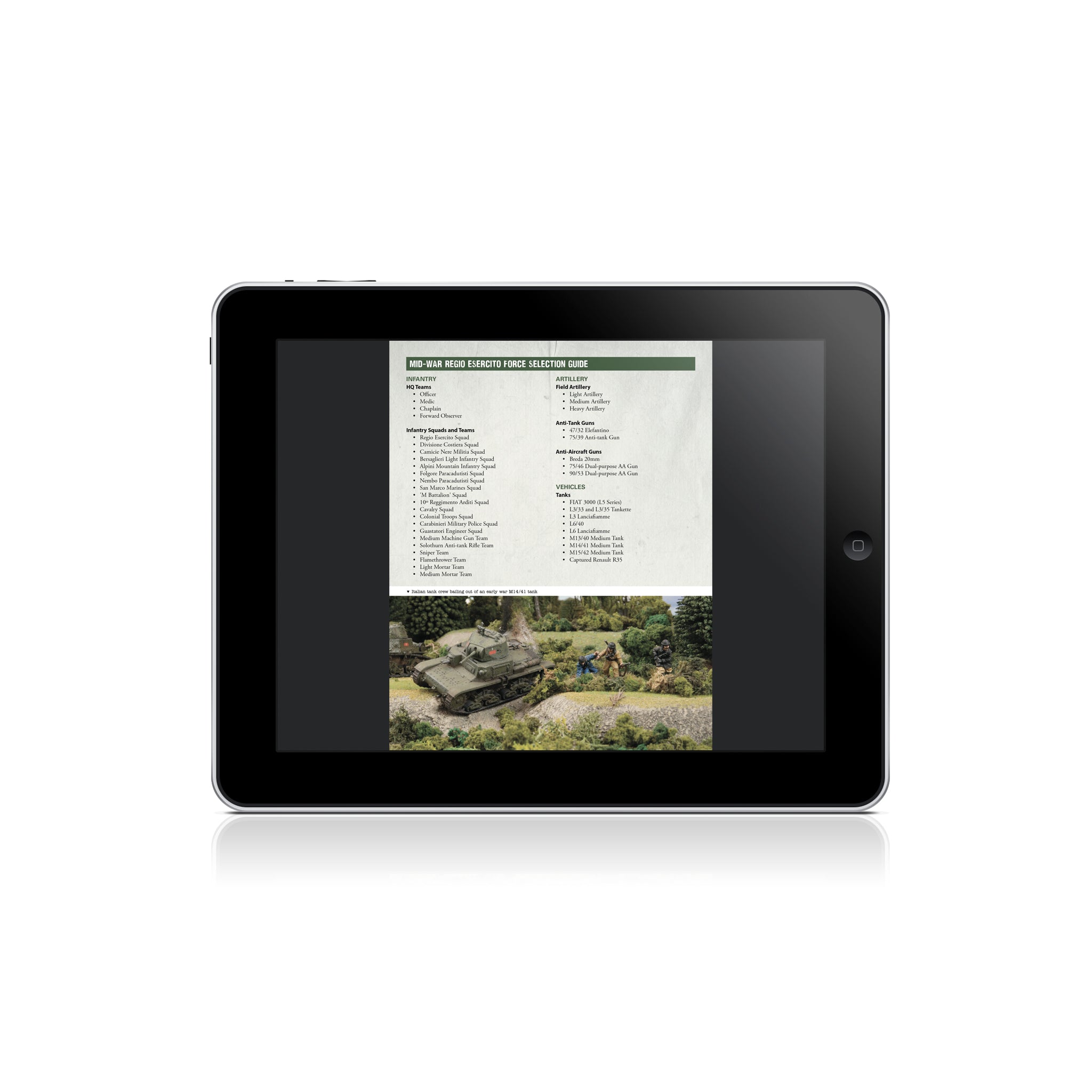 Digital Armies of Italy eBook