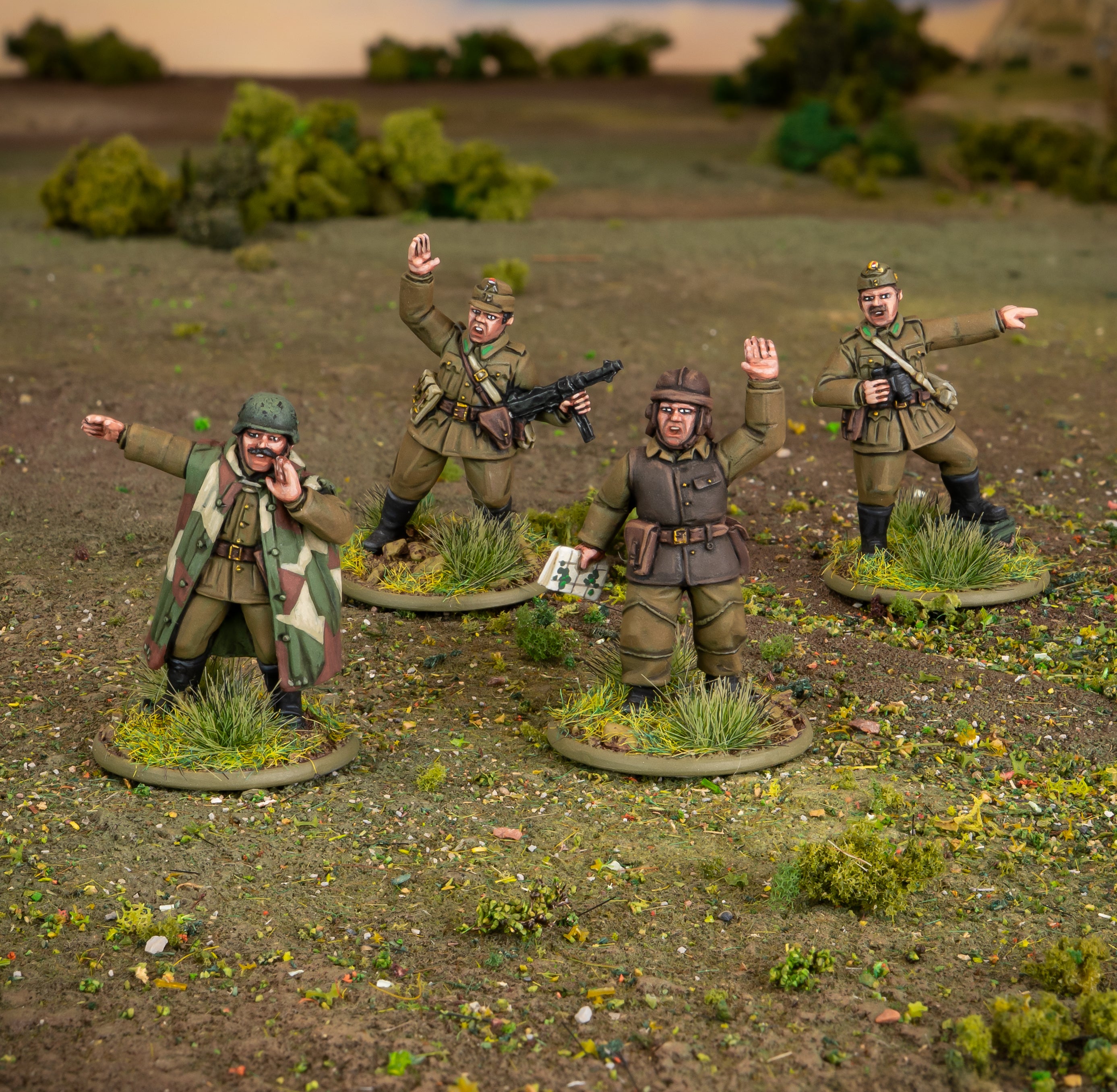 Hungarian Army platoon commanders