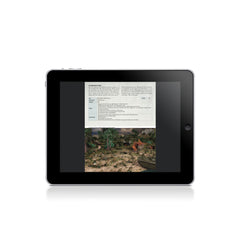 Digital Armies of Imperial Japan PDF