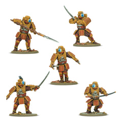 Konflikt '47 Empire of Japan Long Range Penetration Group