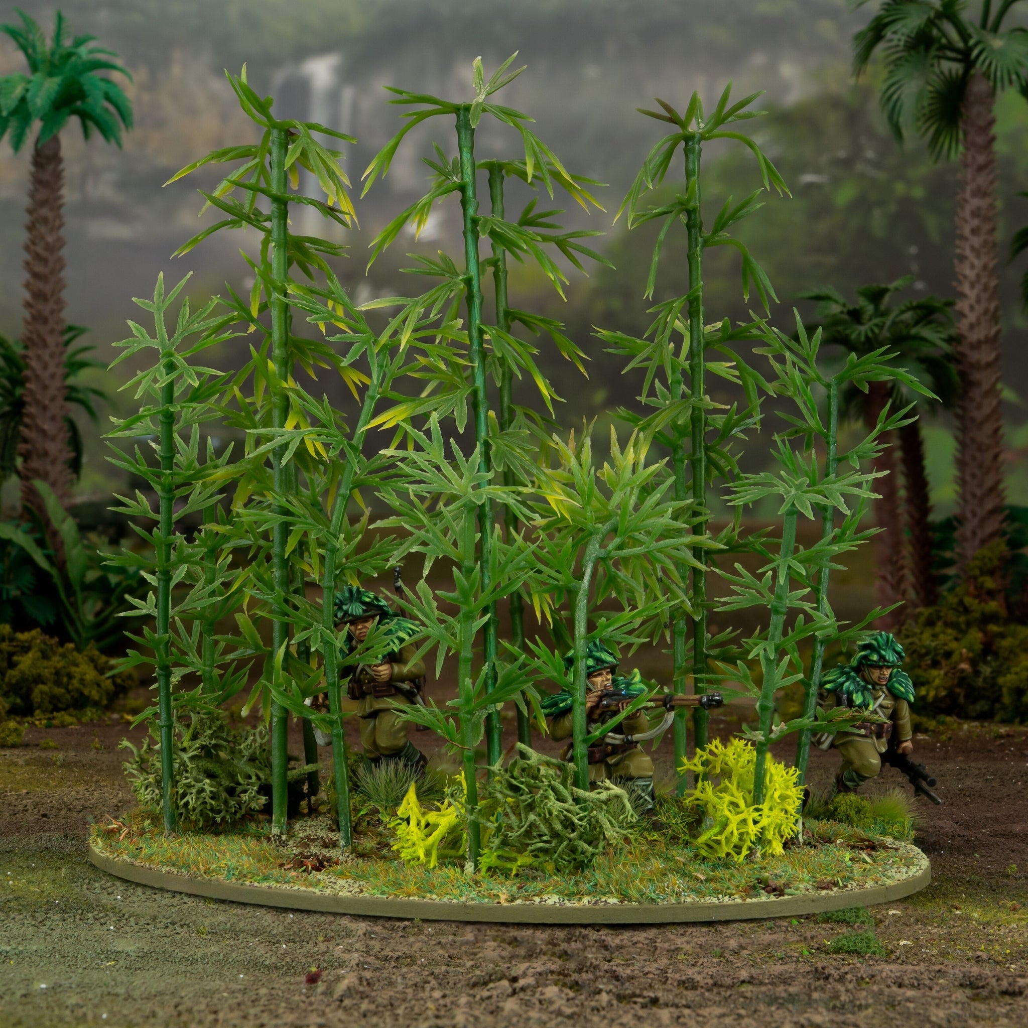 Japanese Bamboo Bushes