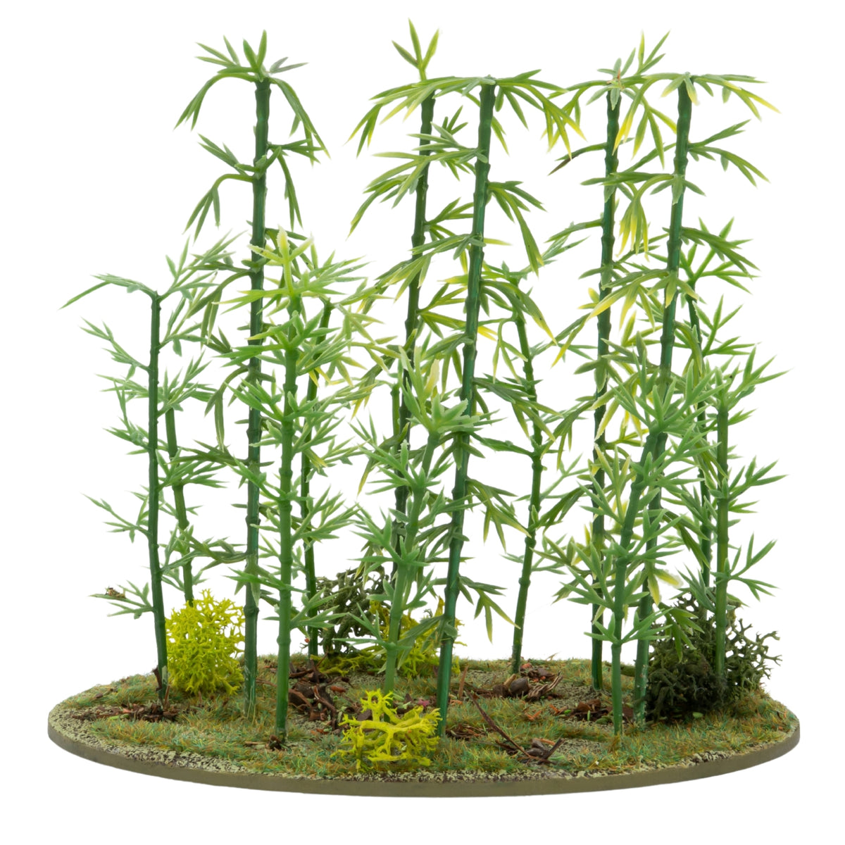 Japanese Bamboo Bushes